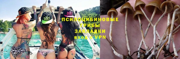 прущие крисы Михайловка
