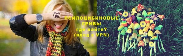 амфетамин Алексеевка