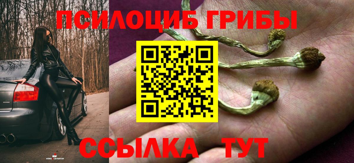 Псилоцибиновые грибы Cubensis  Вход с VPN  Галлюциногенные грибы мицелий  Раменское 