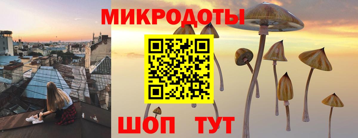 Псилоцибиновые грибы Magic Shrooms Раменское